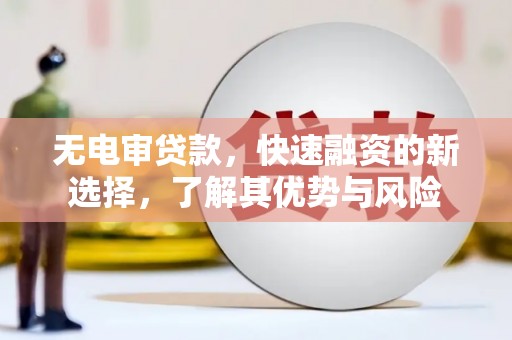 庐阳无电审贷款，快速融资的新选择，了解其优势与风险