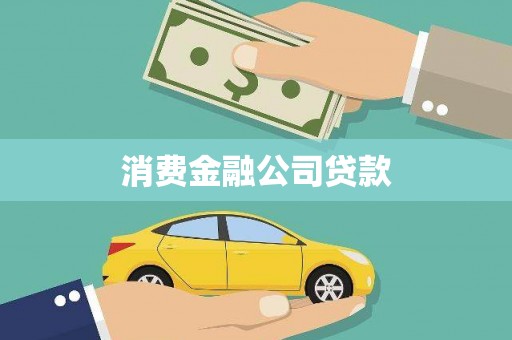 庐阳消费金融公司贷款