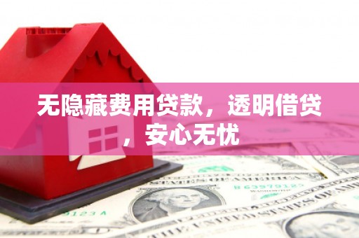 庐阳无隐藏费用贷款，透明借贷，安心无忧