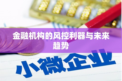 庐阳金融机构的风控利器与未来趋势