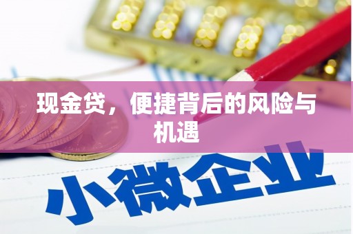 庐阳现金贷，便捷背后的风险与机遇