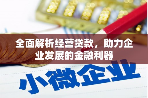 庐阳全面解析经营贷款，助力企业发展的金融利器