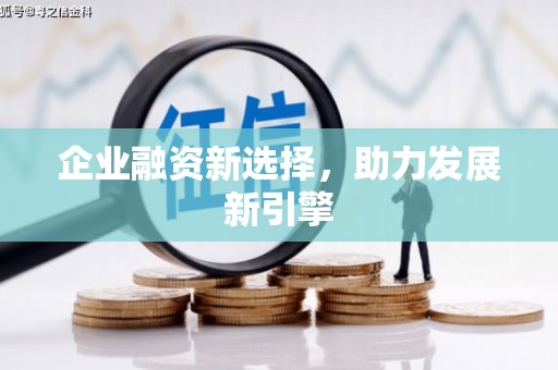 庐阳企业融资新选择，助力发展新引擎