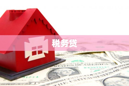 庐阳税务贷
