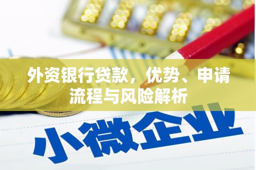 庐阳外资银行贷款，优势、申请流程与风险解析