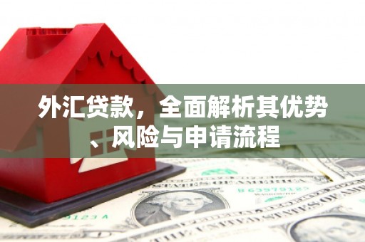 庐阳外汇贷款，全面解析其优势、风险与申请流程