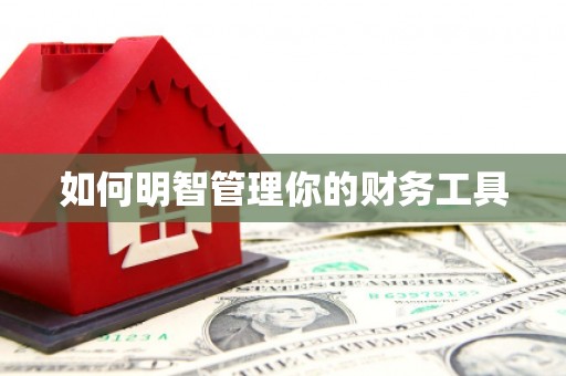 庐阳如何明智管理你的财务工具
