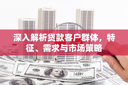 庐阳深入解析贷款客户群体，特征、需求与市场策略