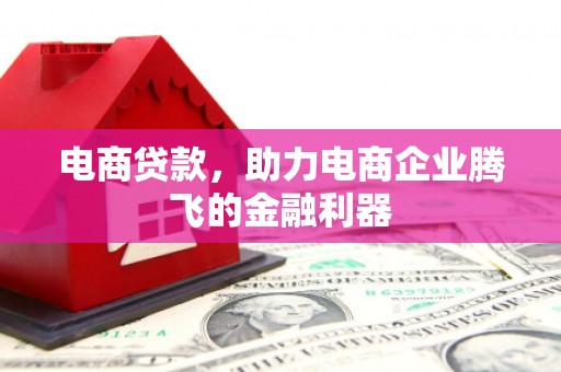 庐阳电商贷款，助力电商企业腾飞的金融利器