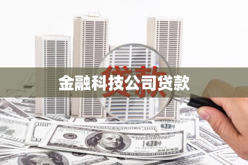 庐阳金融科技公司贷款
