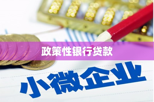 庐阳政策性银行贷款
