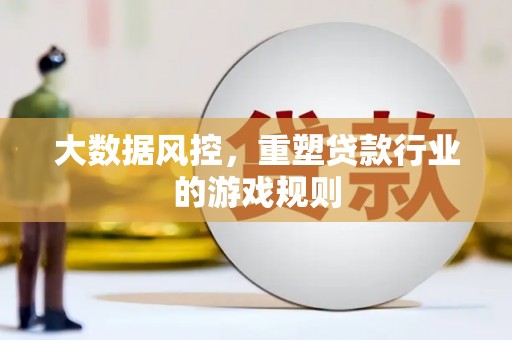 庐阳大数据风控，重塑贷款行业的游戏规则