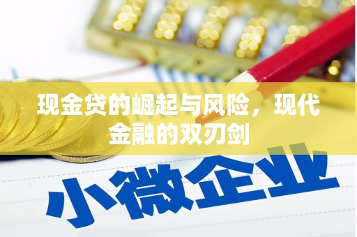 庐阳现金贷的崛起与风险，现代金融的双刃剑
