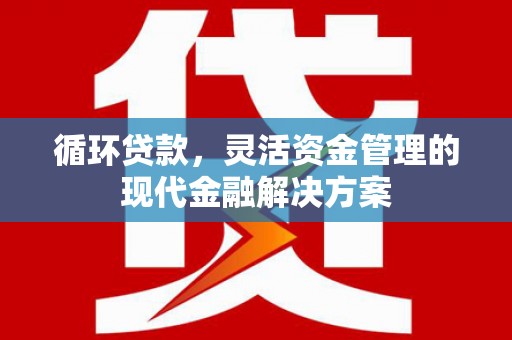 庐阳循环贷款，灵活资金管理的现代金融解决方案