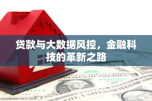 庐阳贷款与大数据风控，金融科技的革新之路