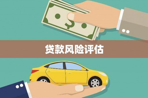 庐阳贷款风险评估