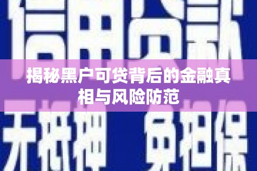 庐阳揭秘黑户可贷背后的金融真相与风险防范
