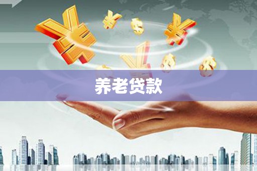 庐阳养老贷款