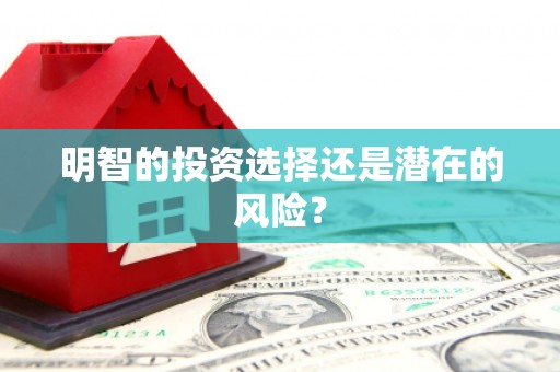 庐阳明智的投资选择还是潜在的风险？
