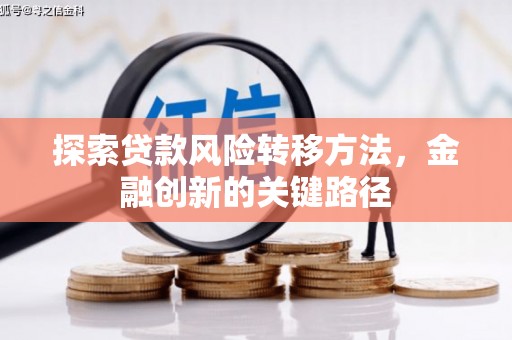 庐阳探索贷款风险转移方法，金融创新的关键路径