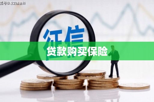 庐阳贷款购买保险