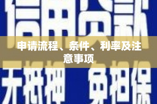 庐阳申请流程、条件、利率及注意事项