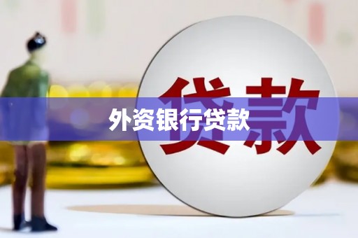 庐阳外资银行贷款