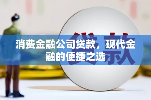 庐阳消费金融公司贷款，现代金融的便捷之选