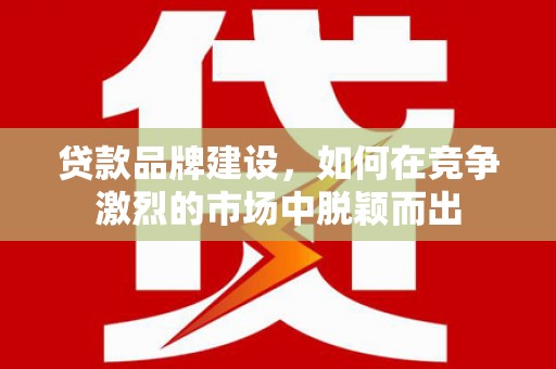 庐阳贷款品牌建设，如何在竞争激烈的市场中脱颖而出