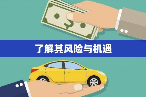 庐阳了解其风险与机遇