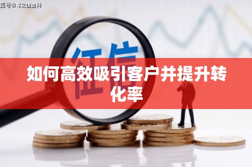 庐阳如何高效吸引客户并提升转化率