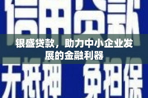 庐阳银盛贷款，助力中小企业发展的金融利器