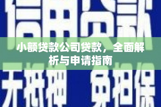 庐阳小额贷款公司贷款，全面解析与申请指南