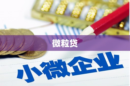 庐阳微粒贷