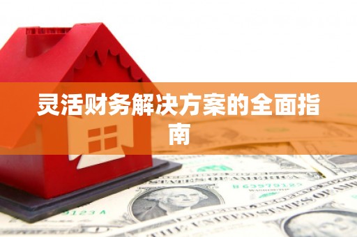 庐阳灵活财务解决方案的全面指南
