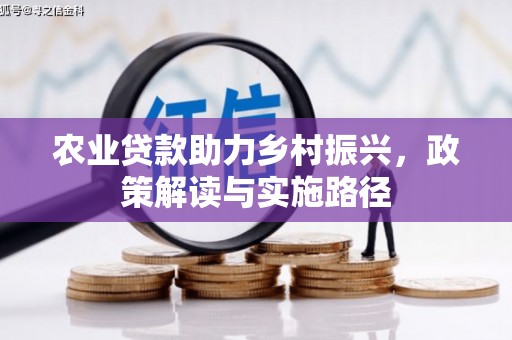庐阳农业贷款助力乡村振兴，政策解读与实施路径