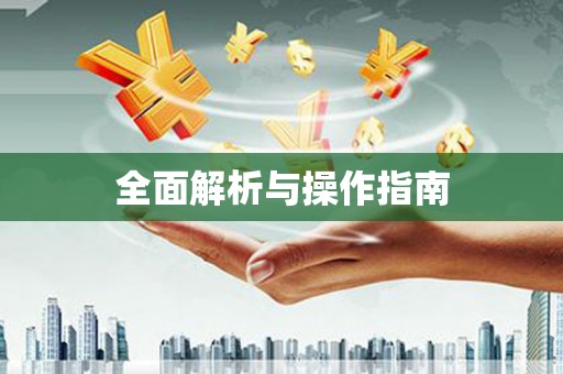 庐阳全面解析与操作指南