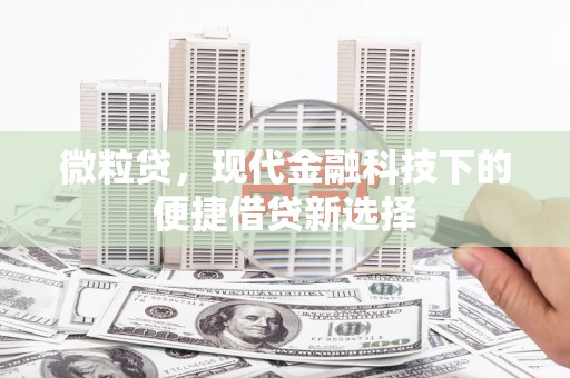庐阳微粒贷，现代金融科技下的便捷借贷新选择