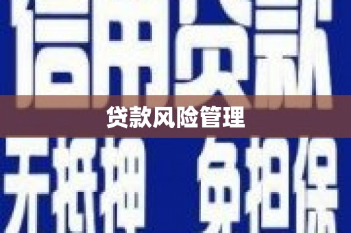 庐阳贷款风险管理