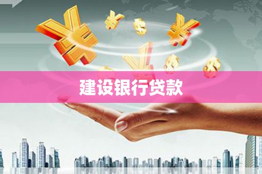 庐阳建设银行贷款