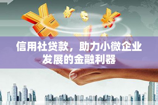 庐阳信用社贷款，助力小微企业发展的金融利器