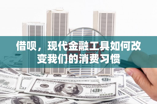 庐阳借呗，现代金融工具如何改变我们的消费习惯