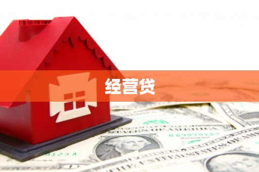 庐阳经营贷