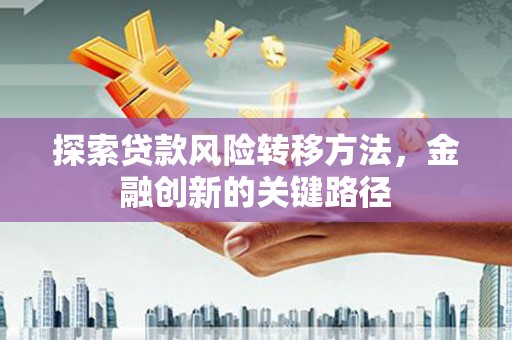 庐阳探索贷款风险转移方法，金融创新的关键路径