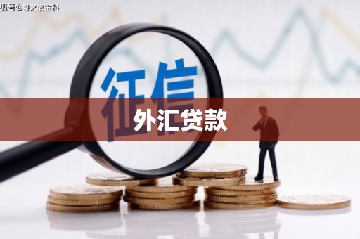 庐阳外汇贷款