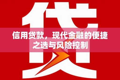 庐阳信用贷款，现代金融的便捷之选与风险控制