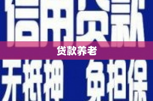 庐阳贷款养老