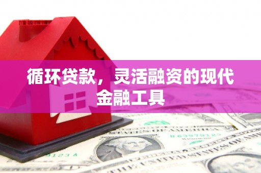 庐阳循环贷款，灵活融资的现代金融工具