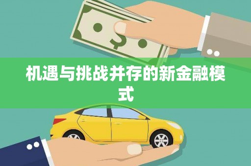 庐阳机遇与挑战并存的新金融模式