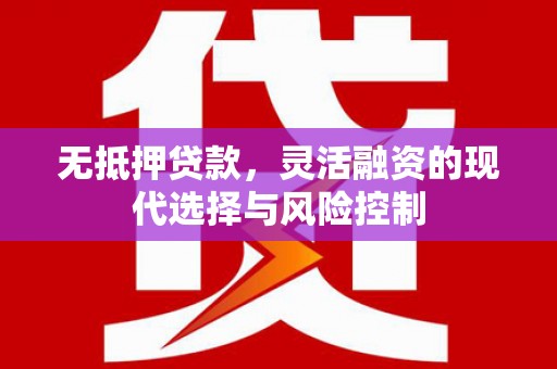庐阳无抵押贷款，灵活融资的现代选择与风险控制